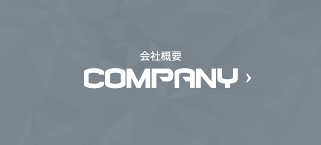 sp_bnr_company